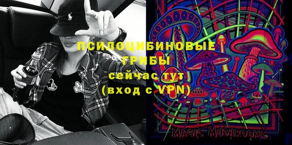 apvp Арсеньев