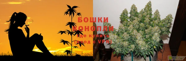 гидропоника Армянск