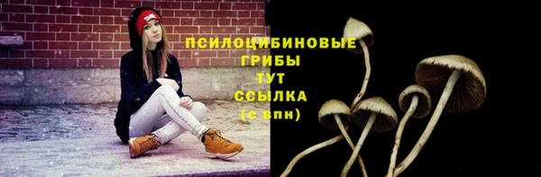 ECSTASY Пересвет